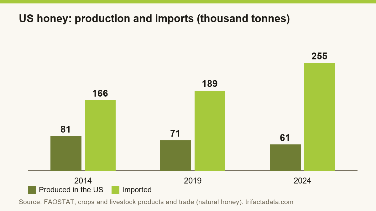 Bar chart: US production of 81, 71 and 61 thousand tonnes and imports of 166, 189 and 255 thousand tonnes in 2014, 2019 and 2024.